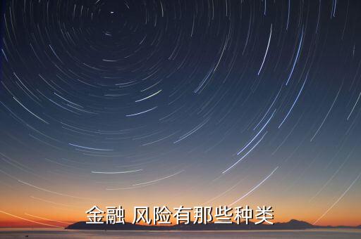 金融 風險有那些種類