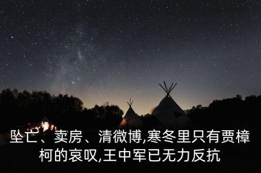 墜亡、賣房、清微博,寒冬里只有賈樟柯的哀嘆,王中軍已無力反抗