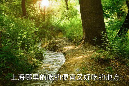 上海長發(fā)集團(tuán),長發(fā)集團(tuán)簡介