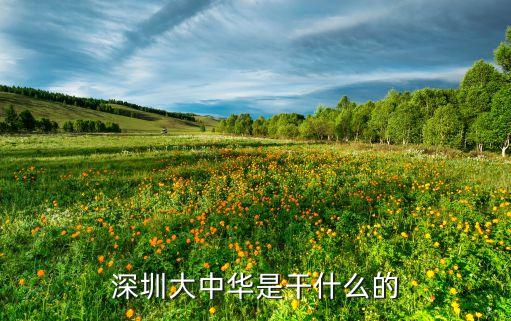 北京深港集團,深港集團領(lǐng)導班子