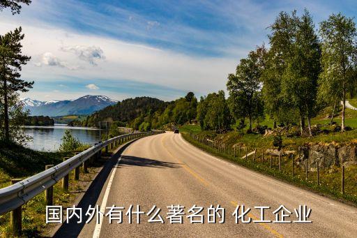 國內(nèi)外有什么著名的 化工企業(yè)