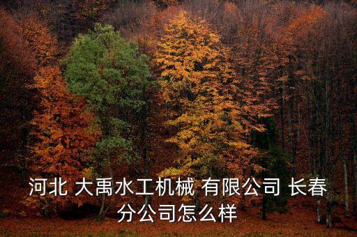 河北 大禹水工機(jī)械 有限公司 長(zhǎng)春分公司怎么樣