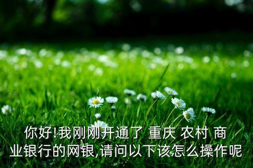 你好!我剛剛開通了 重慶 農村 商業(yè)銀行的網(wǎng)銀,請問以下該怎么操作呢