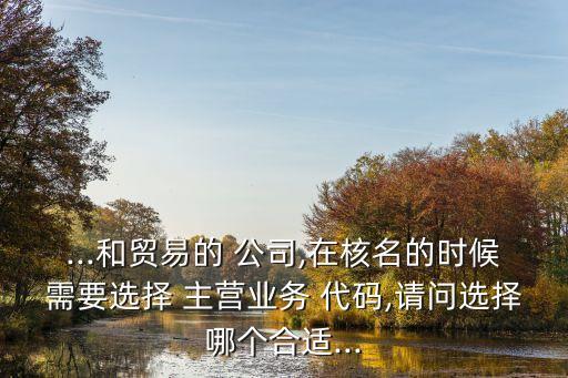 ...和貿(mào)易的 公司,在核名的時候需要選擇 主營業(yè)務 代碼,請問選擇哪個合適...