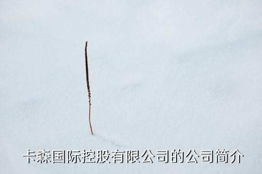 卡森集團朱張金總資產