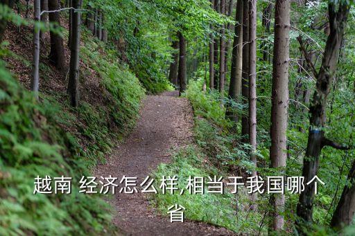  越南 經(jīng)濟怎么樣,相當(dāng)于我國哪個省