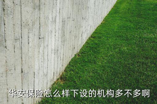  華安保險怎么樣下設(shè)的機構(gòu)多不多啊