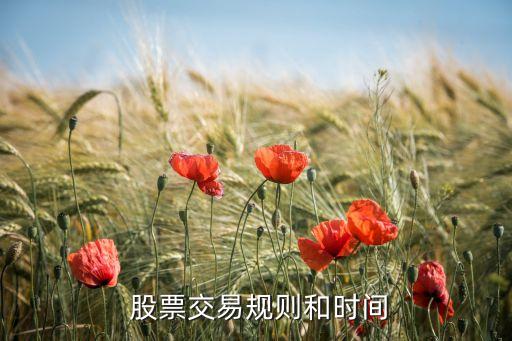 股票30分鐘買(mǎi)賣(mài)法,股票的關(guān)鍵點(diǎn)位買(mǎi)賣(mài)法