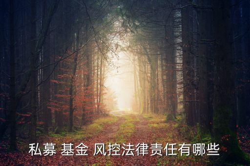私募 基金 風控法律責任有哪些