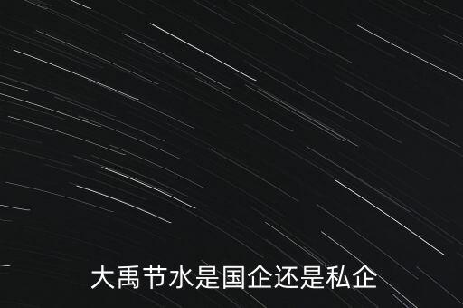  大禹節(jié)水是國(guó)企還是私企