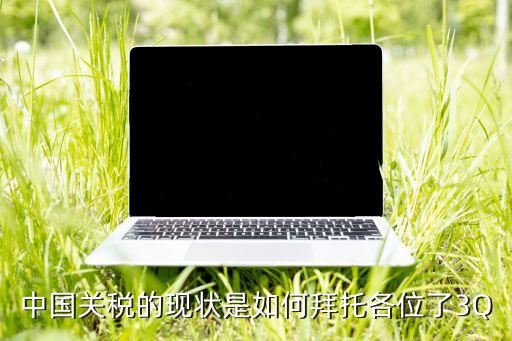 中國關稅的現(xiàn)狀是如何拜托各位了3Q