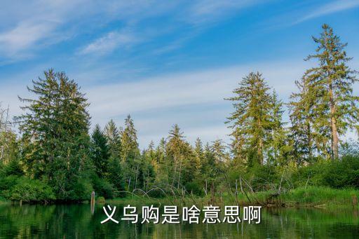 義烏購中國義烏小商品市場(chǎng)
