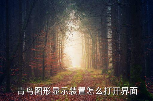  青鳥圖形顯示裝置怎么打開界面
