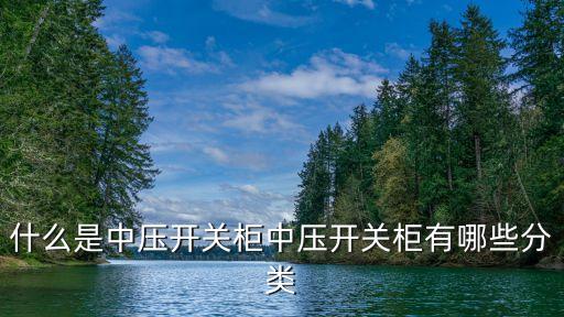 什么是中壓開關(guān)柜中壓開關(guān)柜有哪些分類