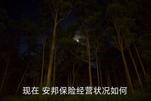 現(xiàn)在 安邦保險(xiǎn)經(jīng)營(yíng)狀況如何