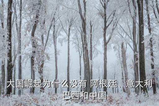 大國(guó)崛起為什么沒有 阿根廷、意大利、巴西和中國(guó)