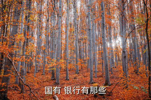 羅斯柴爾德銀行中國(guó),瑞士銀行和羅斯柴爾德銀行
