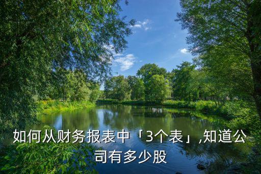 如何從財務(wù)報表中「3個表」,知道公司有多少股