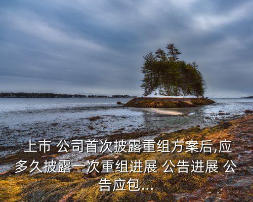  上市 公司首次披露重組方案后,應(yīng)多久披露一次重組進展 公告進展 公告應(yīng)包...