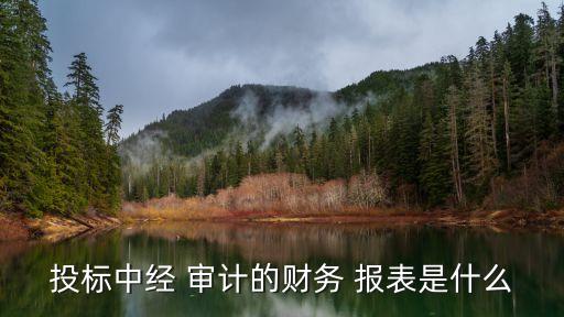 投標中經 審計的財務 報表是什么