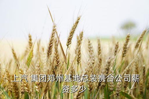  上汽 集團鄭州基地總裝攜合公司薪資多少