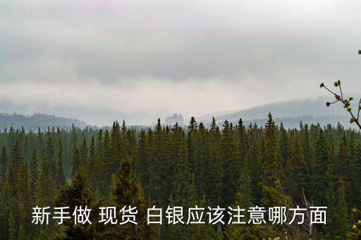 新手做 現貨 白銀應該注意哪方面
