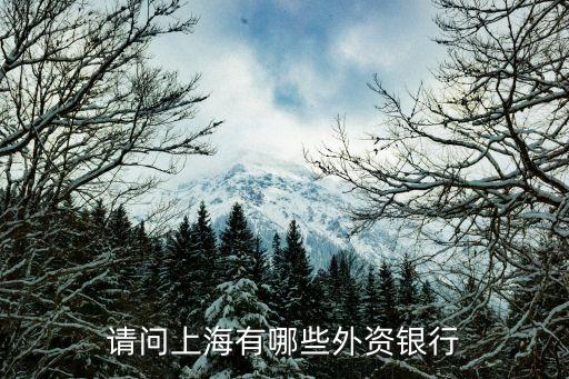 請(qǐng)問(wèn)上海有哪些外資銀行