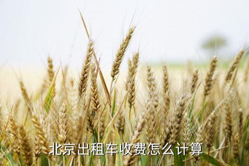  北京出租車收費(fèi)怎么計(jì)算