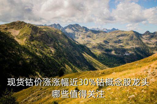 現(xiàn)貨鈷價漲漲幅近30%鈷概念股龍頭哪些值得關注