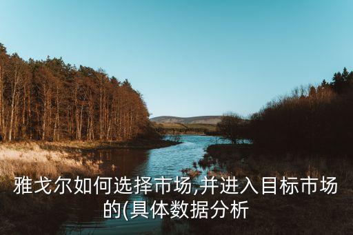 雅戈?duì)柸绾芜x擇市場,并進(jìn)入目標(biāo)市場的(具體數(shù)據(jù)分析