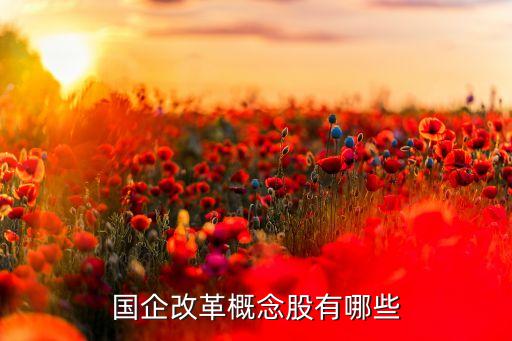中國重工2013年報(bào)