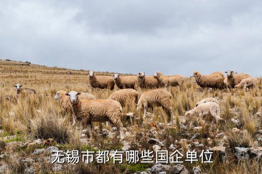  無錫市都有哪些國(guó)企單位