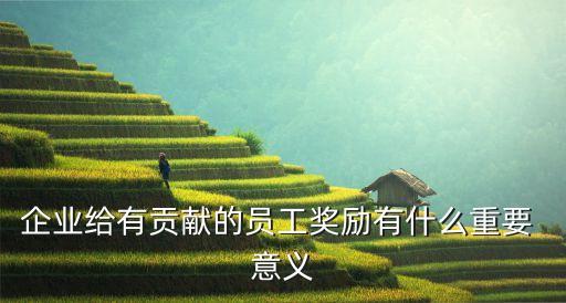 企業(yè)給有貢獻(xiàn)的員工獎勵有什么重要 意義