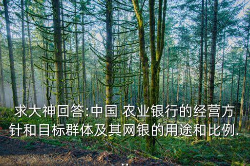 求大神回答:中國 農(nóng)業(yè)銀行的經(jīng)營方針和目標群體及其網(wǎng)銀的用途和比例...