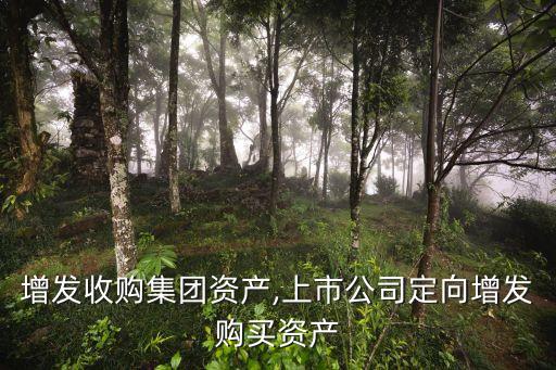 定向增發(fā)收購(gòu)集團(tuán)資產(chǎn),上市公司定向增發(fā)購(gòu)買資產(chǎn)