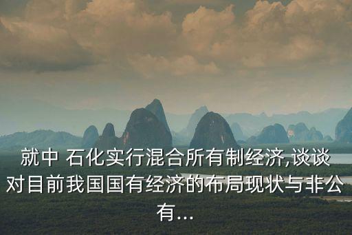 就中 石化實(shí)行混合所有制經(jīng)濟(jì),談?wù)剬?duì)目前我國(guó)國(guó)有經(jīng)濟(jì)的布局現(xiàn)狀與非公有...