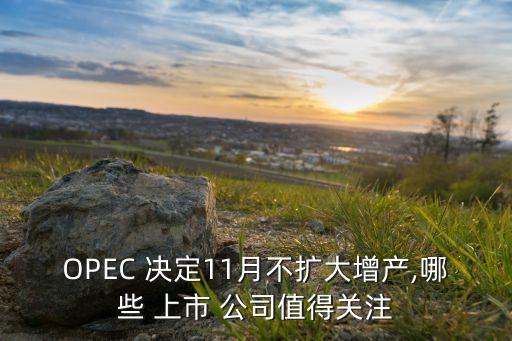 OPEC 決定11月不擴大增產,哪些 上市 公司值得關注