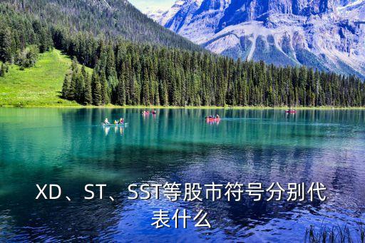 XD、ST、SST等股市符號(hào)分別代表什么