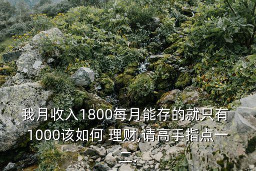 我月收入1800每月能存的就只有 1000該如何 理財(cái),請高手指點(diǎn)一二.