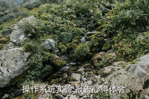 操作系統(tǒng)實(shí)驗(yàn) 報(bào)告心得體會