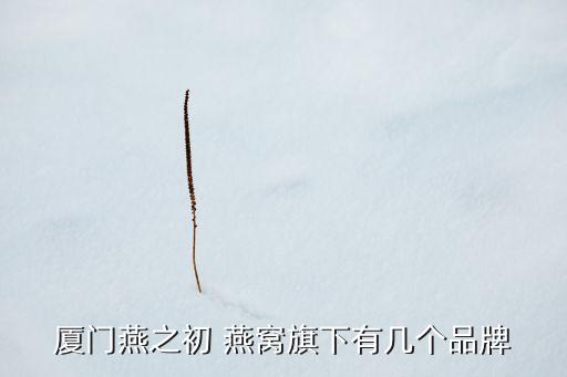 廈門(mén)燕之初 燕窩旗下有幾個(gè)品牌
