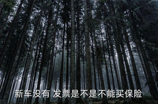 車(chē)輛投保后保險(xiǎn)公司無(wú)發(fā)票,如果投保車(chē)輛被盜了,保險(xiǎn)公司是否賠償