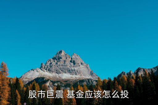股市巨震 基金應(yīng)該怎么投
