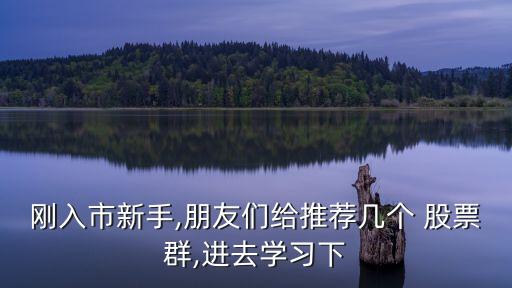 剛?cè)胧行率?朋友們給推薦幾個 股票群,進(jìn)去學(xué)習(xí)下