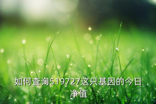 如何查詢(xún)519727這只基因的今日 凈值