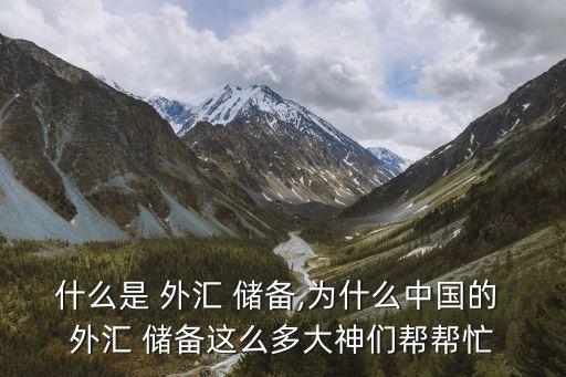 什么是 外匯 儲(chǔ)備,為什么中國的 外匯 儲(chǔ)備這么多大神們幫幫忙