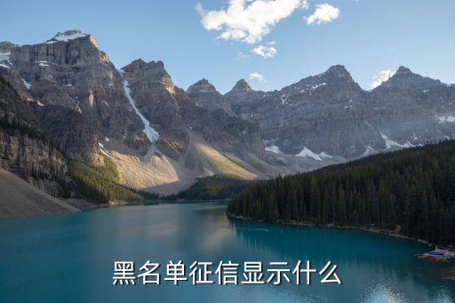 某個人客戶在一家商業(yè)銀行出現不良信息后