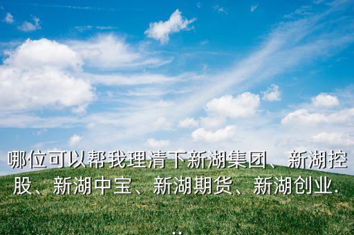 哪位可以幫我理清下新湖集團(tuán)、新湖控股、新湖中寶、新湖期貨、新湖創(chuàng)業(yè)...