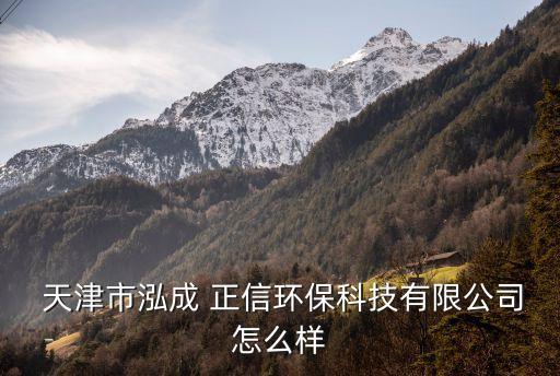  天津市泓成 正信環(huán)?？萍加邢薰驹趺礃? class=