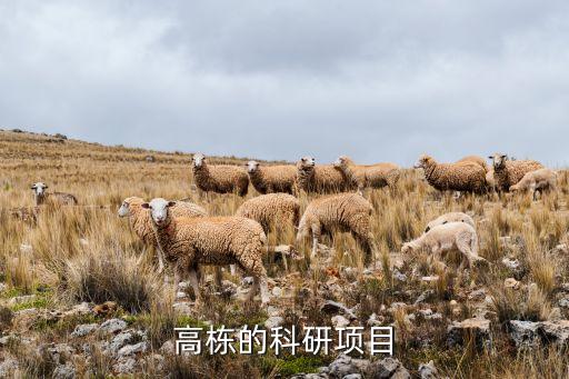 高棟的科研項(xiàng)目